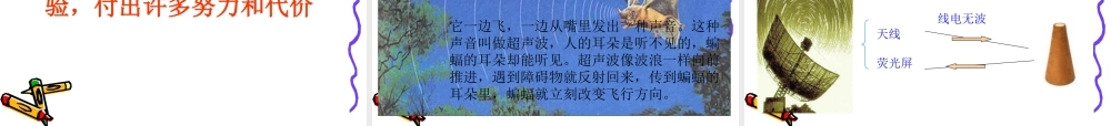 新建蝙蝠与雷达课件