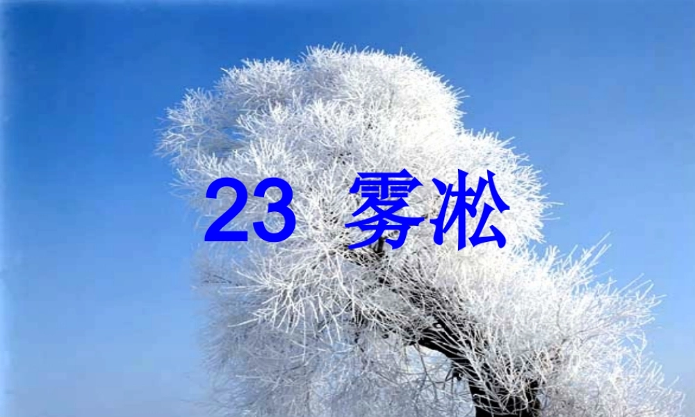 汪敬东雾凇_PPT