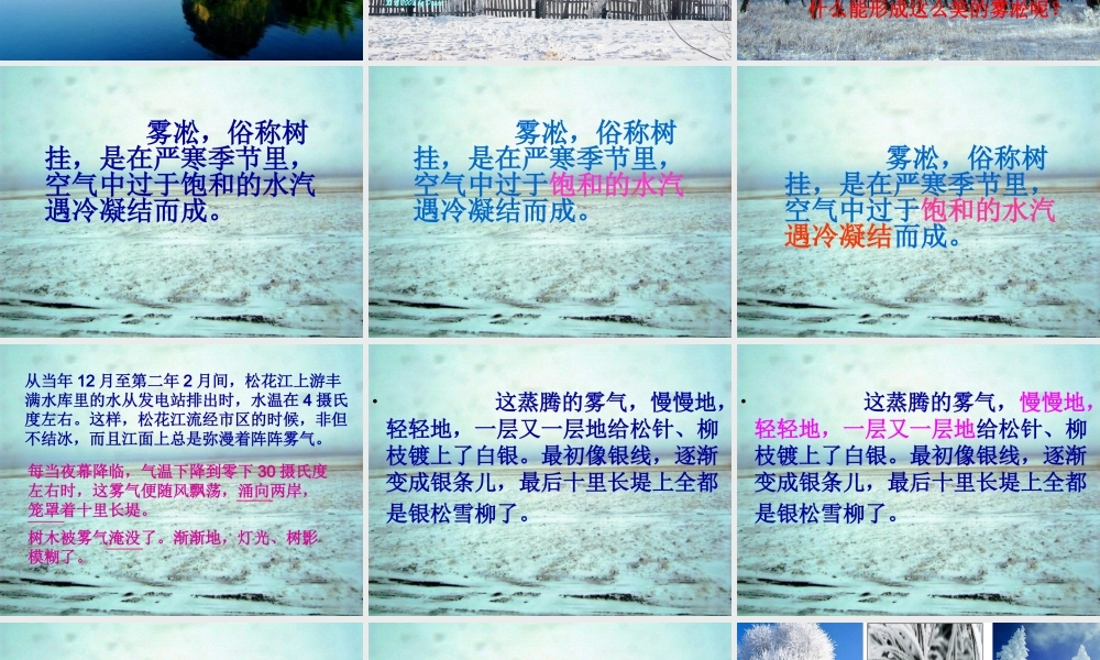 汪敬东雾凇_PPT