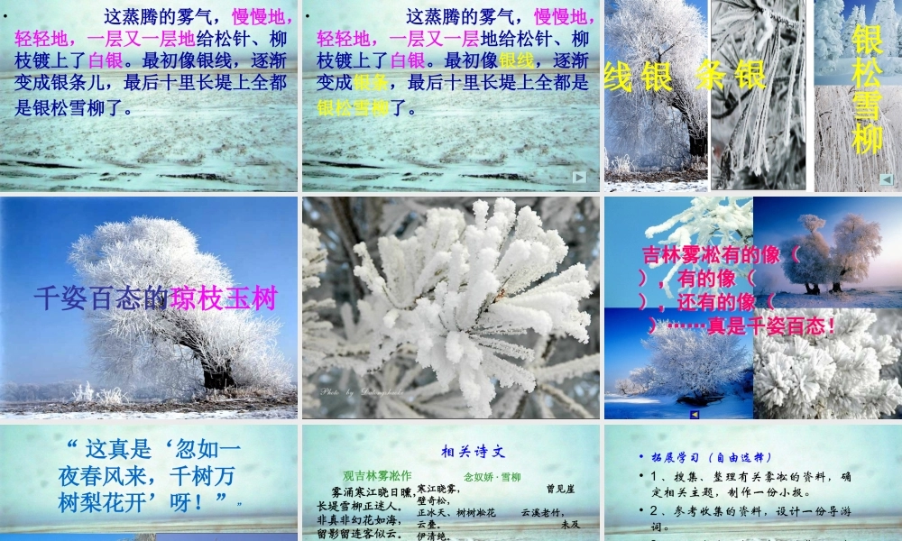汪敬东雾凇_PPT