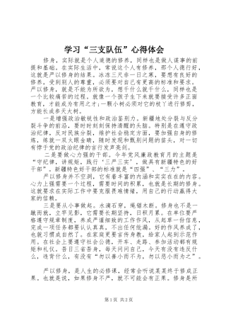 学习“三支队伍”心得体会