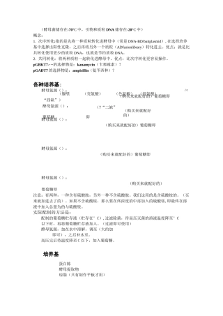 酵母双杂交操作步骤(中文翻译)