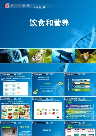 （精品）饮食与营养-教学课件