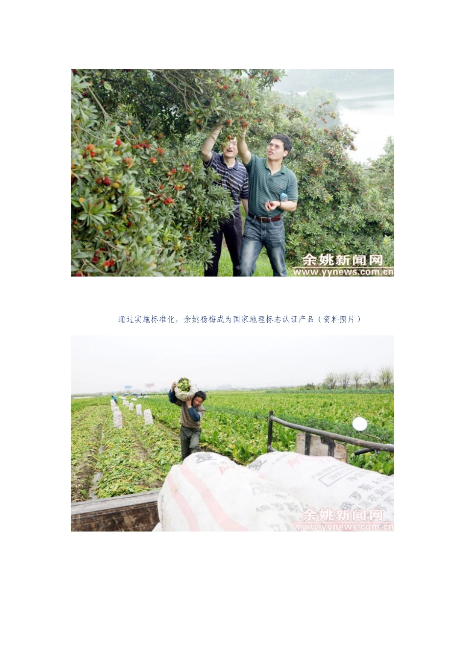 余姚日报 我市全面实施农业标准化工作纪略_第2页