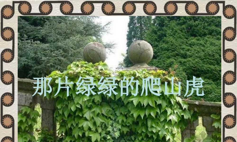 那片绿绿的爬山虎李倩