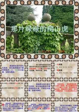 那片绿绿的爬山虎李倩