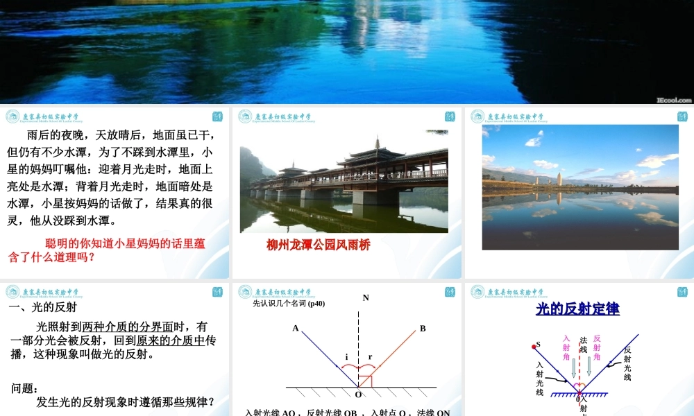 初二物理光的反射
