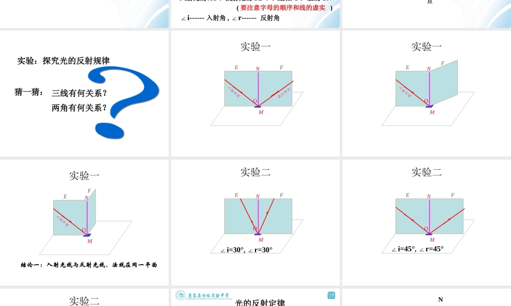 初二物理光的反射