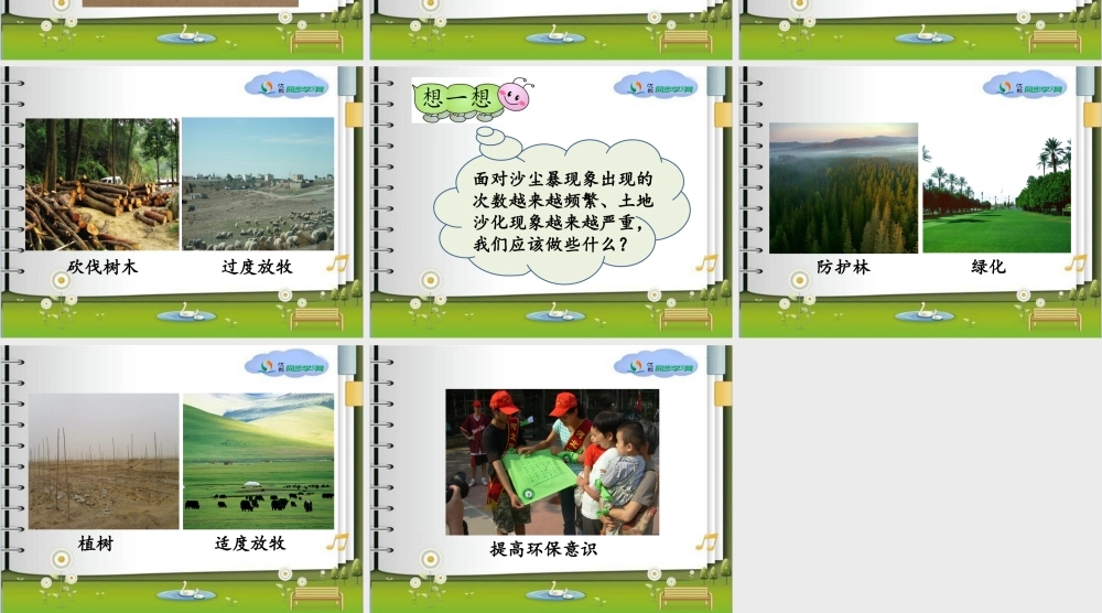 《__沙尘暴》参考课件