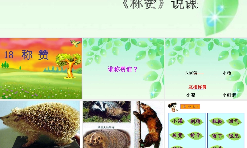 《称赞》课件刘玉红