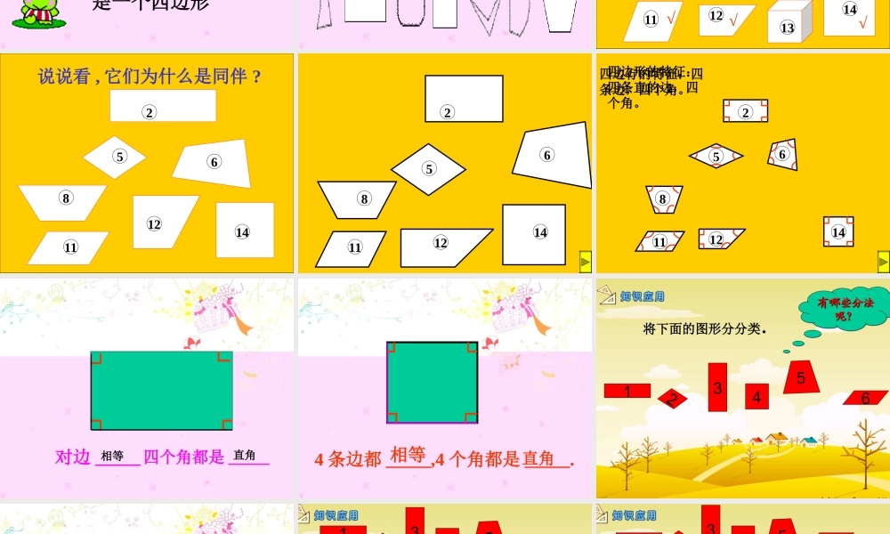 四边形的认识pkhhv