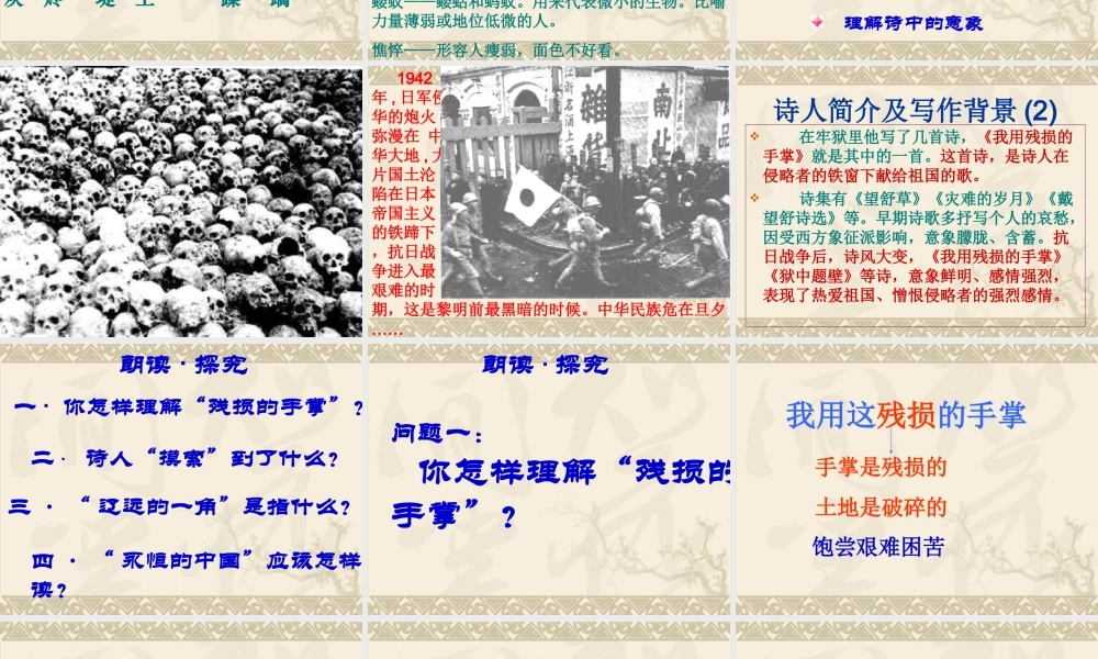 我用残损的手掌
