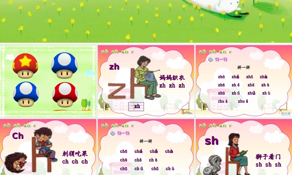 zh_ch_sh_r课件(改进版)