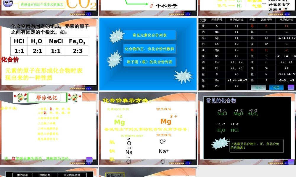 九年级化学化学式与化合价