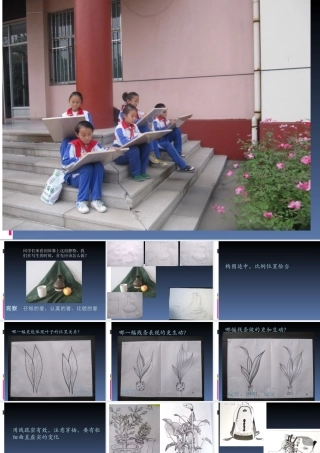 静物写生_课件