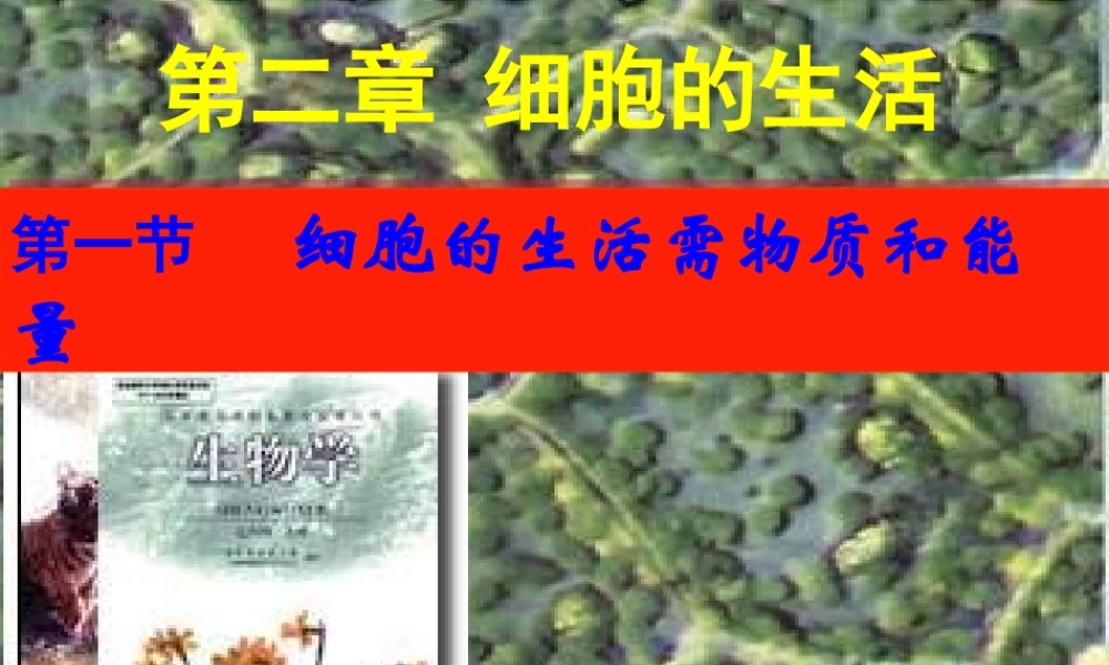 细胞的生活要物质和能量