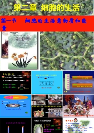 细胞的生活要物质和能量