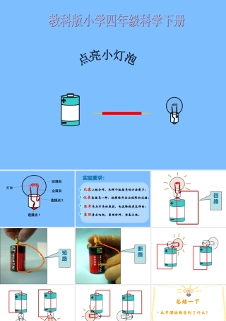 （教科版）四年级科学下册点亮小灯泡PPT