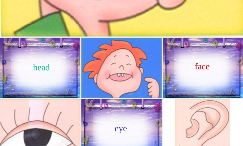 英语课件人体器官