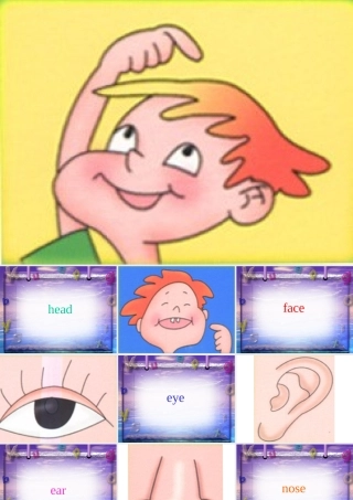 英语课件人体器官