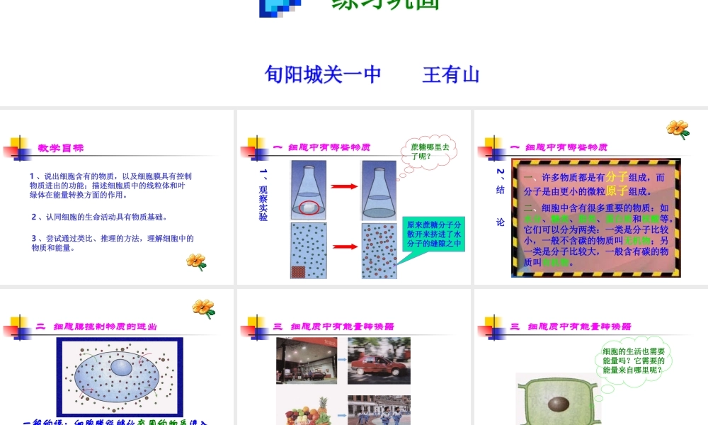 细胞的生活需要物质和能量