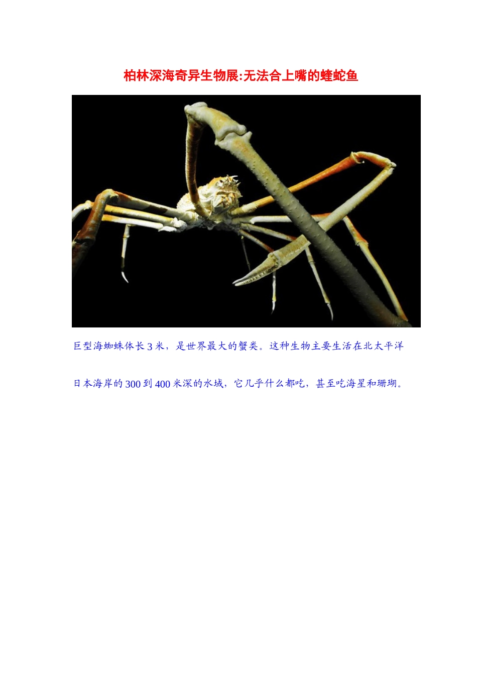 柏林深海奇异生物展无法合上嘴的蝰蛇鱼_第1页