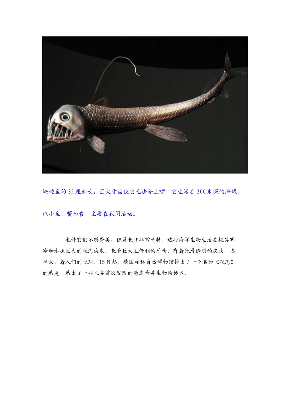 柏林深海奇异生物展无法合上嘴的蝰蛇鱼_第2页