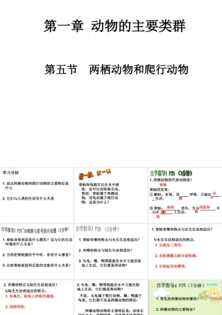 第五节_两栖动物和爬行动物