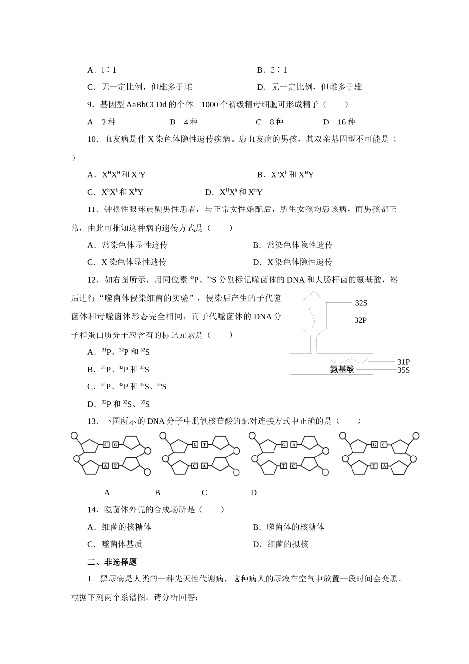 高中生物必修二期中测试题(免费)_第2页
