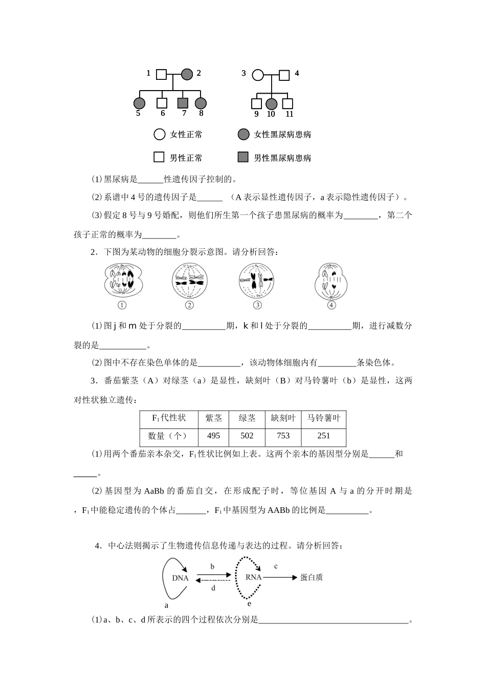 高中生物必修二期中测试题(免费)_第3页