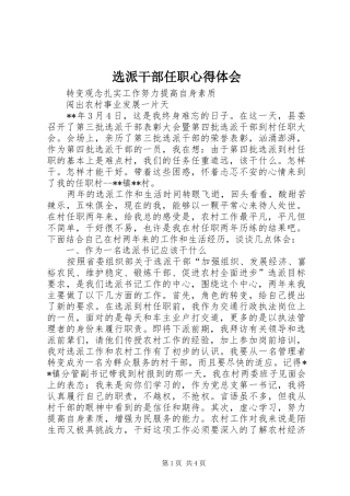 选派干部任职心得体会