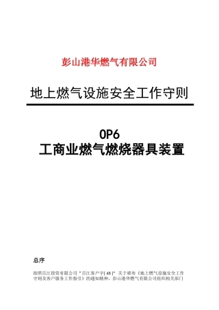 16工商业燃气燃烧器具装置(OP6)TCCL