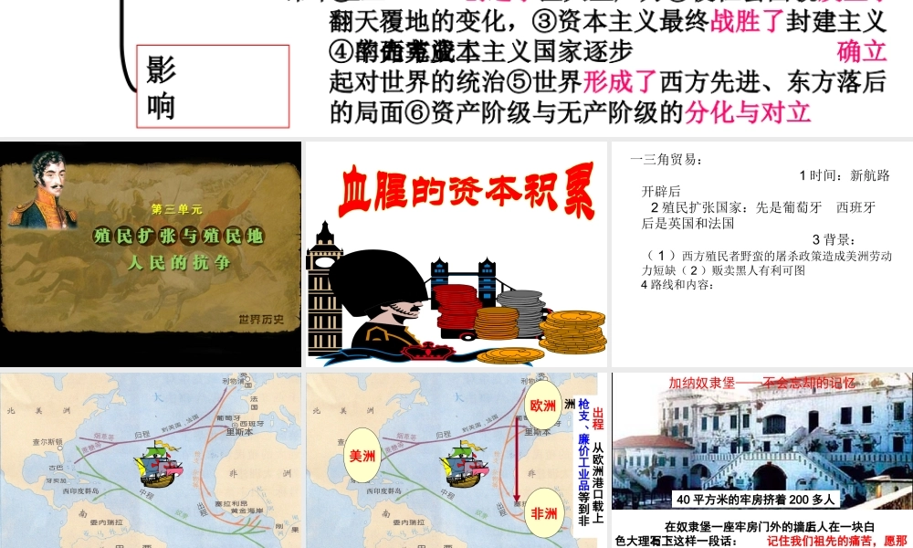 《血腥的资本积累》