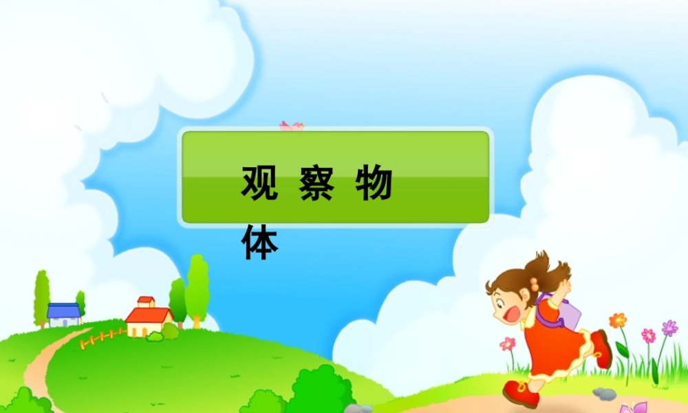 二年级数学上册第五单元观察物体第一课时课件