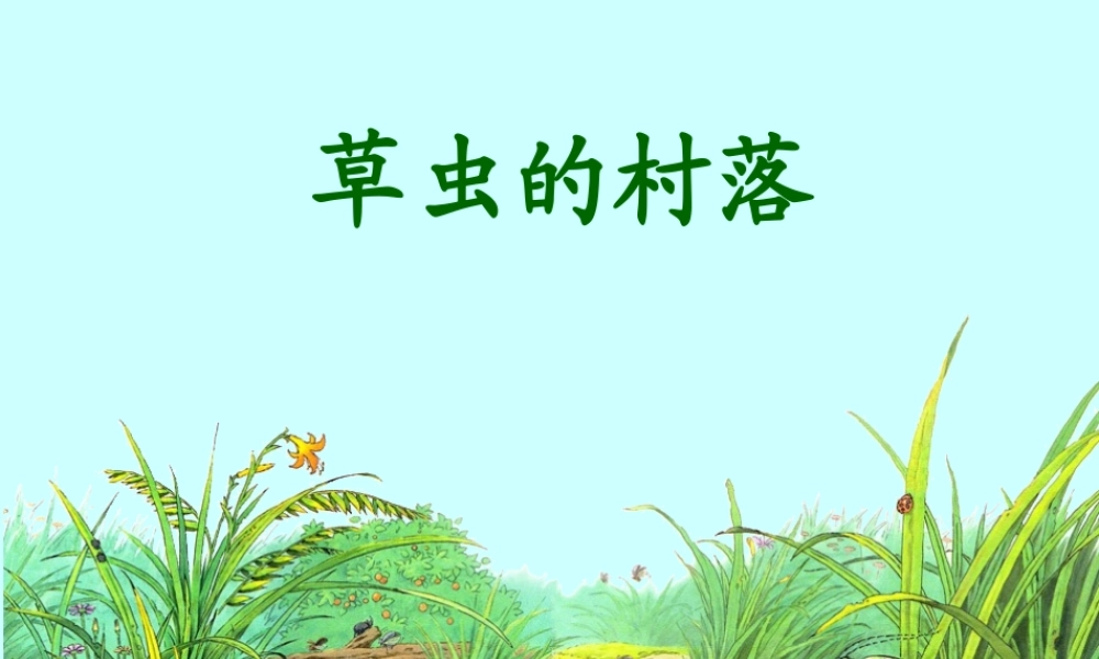 草虫的村落-教学课件