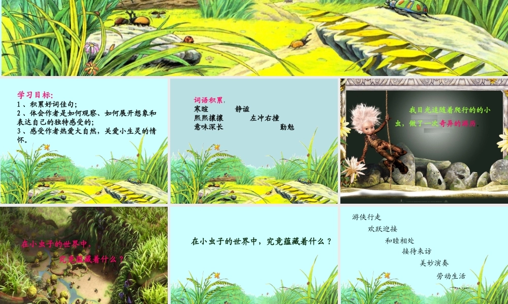 草虫的村落-教学课件