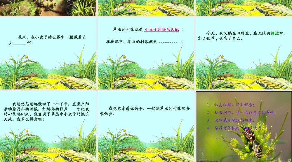 草虫的村落-教学课件