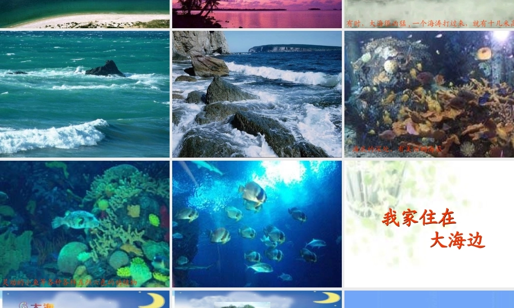 一年级下册《我家住在大海边》PPT课件