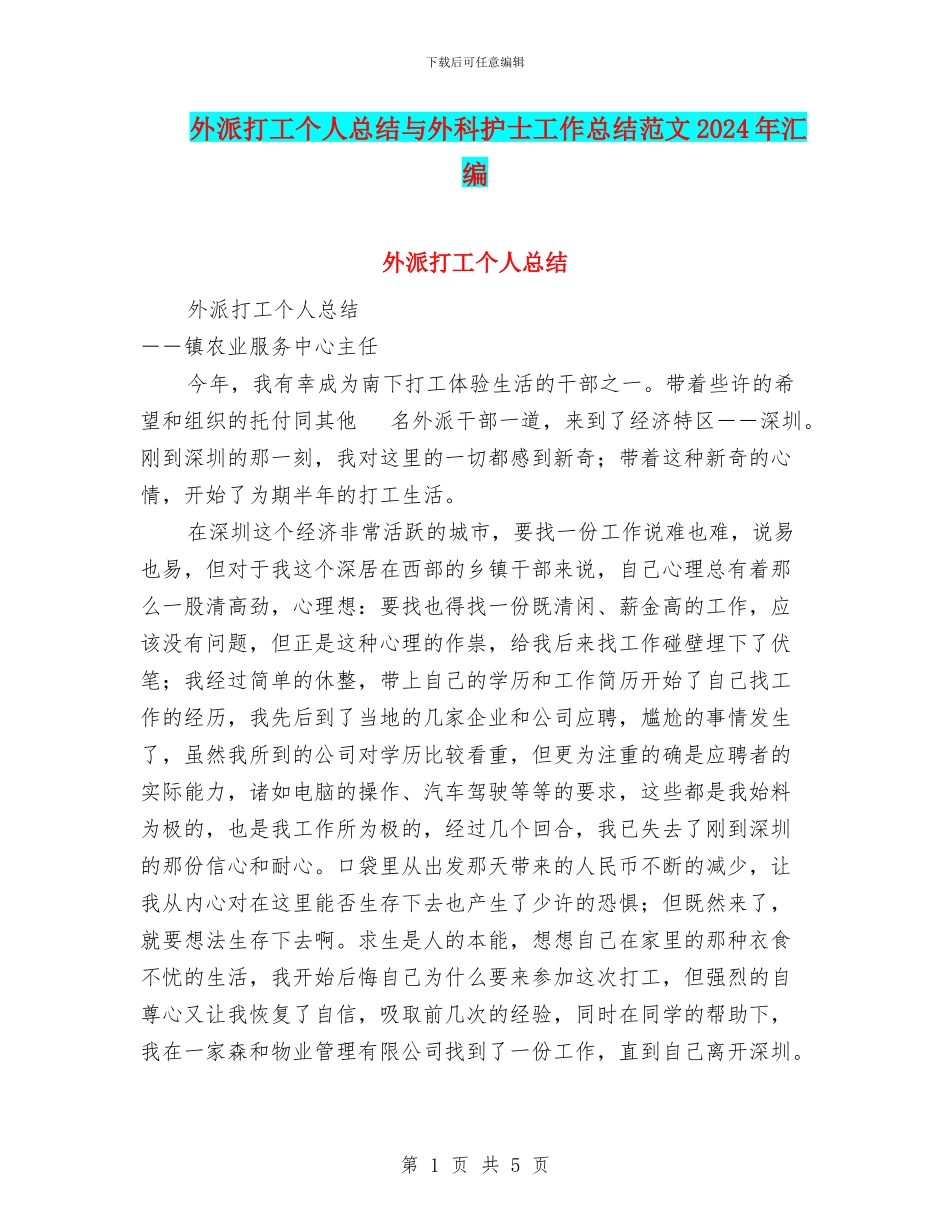 外派打工个人总结与外科护士工作总结范文2024年汇编_第1页