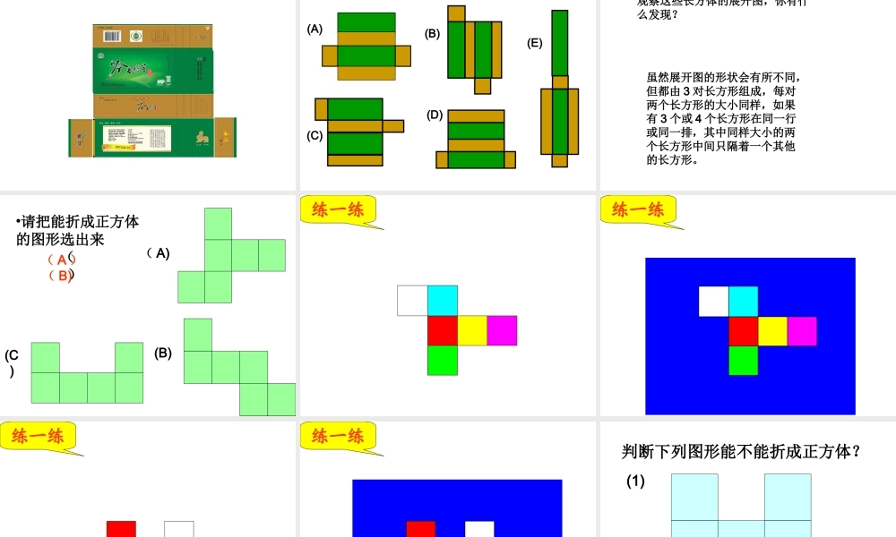 苏教版六年级上册《正方体和长方体的展开图》