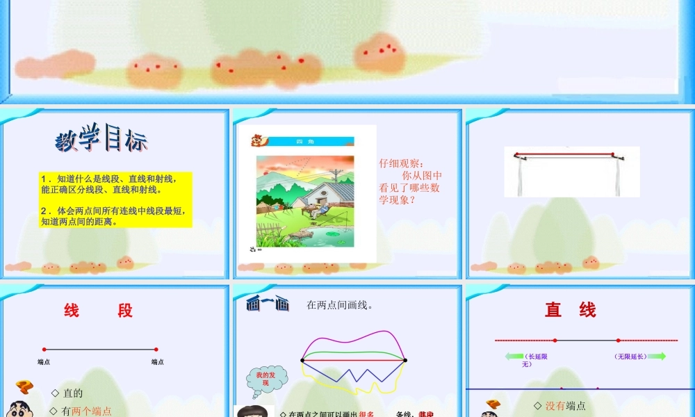 线段、直线和射线