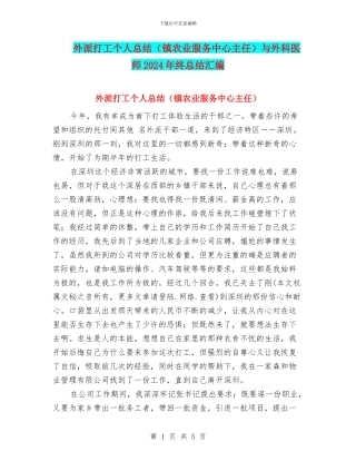 外派打工个人总结与外科医师2024年终总结汇编