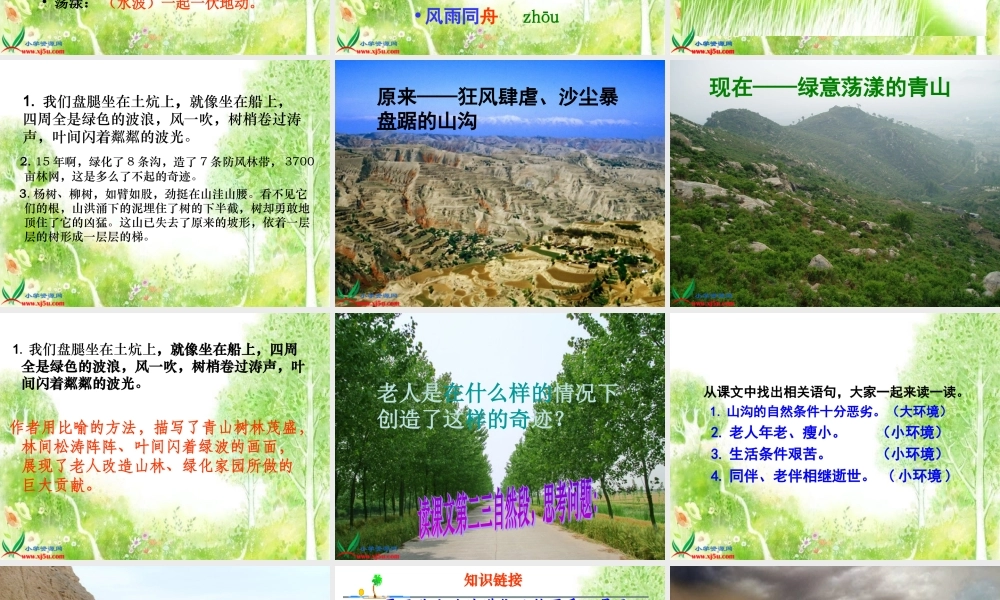 《青山不老》PPT课件