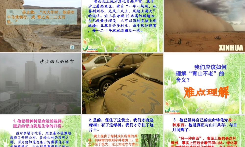 《青山不老》PPT课件