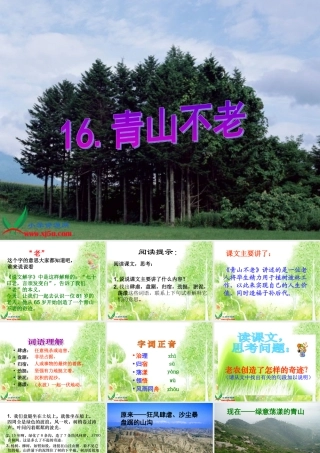 《青山不老》PPT课件