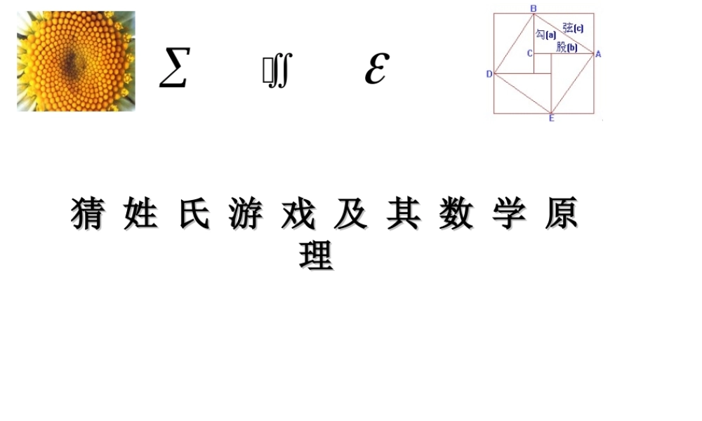 猜姓氏游戏及其数学原理
