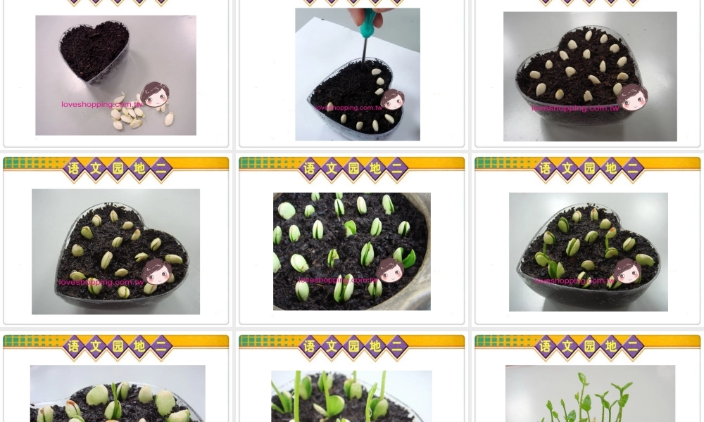 人教版四年级语文上册《语文园地二》(完整精品课件)