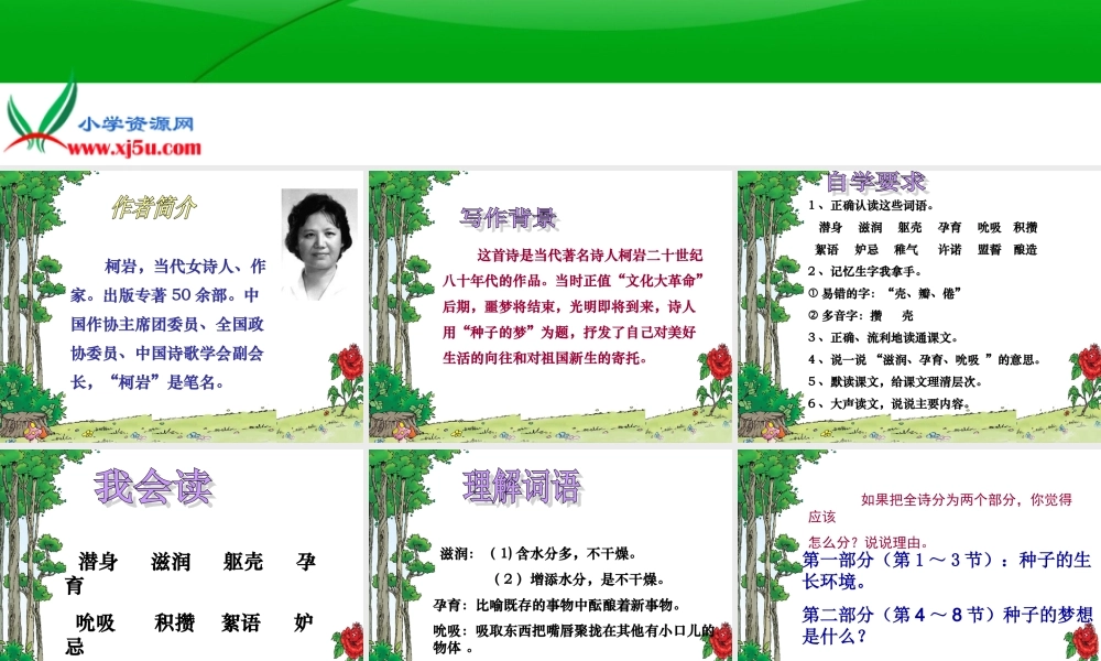 《种子的梦》第一课时