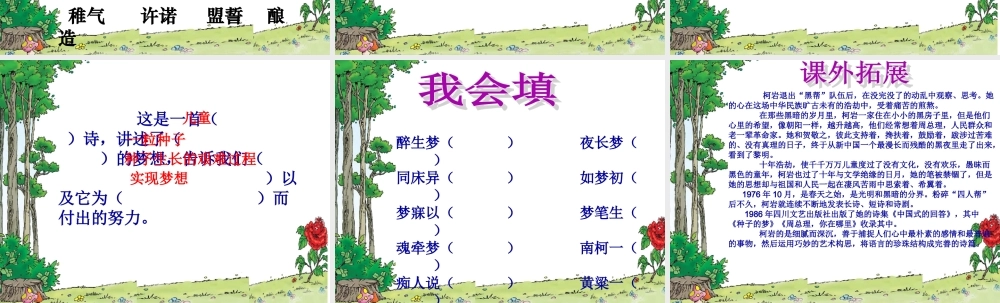 《种子的梦》第一课时