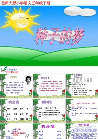 《种子的梦》第一课时